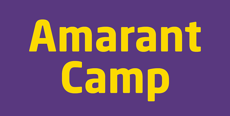 амарант табір логотип